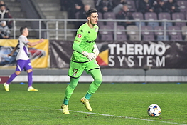 Rapid Bucuresti-FC Arges 2-0 SuperLiga (08.11.2025)