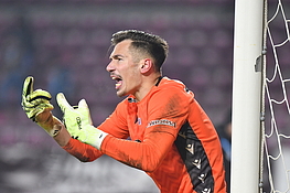 Rapid Bucuresti-Petrolul Ploiesti 1-1 SuperLiga (06.02.2026)